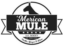 "AMERICAN MULE," "EST. MMXV," "IN THE USA," AND "VODKA, GINGER & LIME"