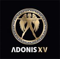 ADONIS XV