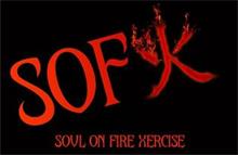 SOFX  SOUL ON FIRE XERCISE