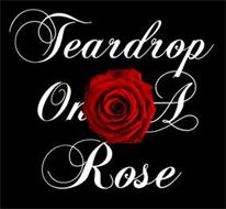 TEARDROP ON A ROSE