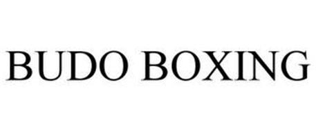 BUDO BOXING