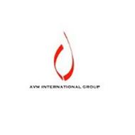 AVM INTERNATIONAL GROUP