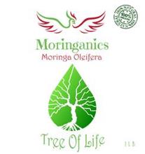 MORINGANICS TREE OF LIFE MORINGA OLEIFERA 100% NATURAL 100% ORGANIC 1 LB