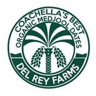 COACHELLA'S BEST ORGANIC MEDJOOL DATES DEL REY FARMS