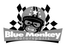 BLUE MONKEY MOTORSPORTS