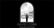 DAVID J COBB FOUNDATION