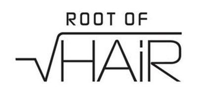 ROOT OF HAIR
