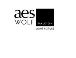 AES WOLF WALK-ON LIGHT FIXTURE