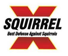 SQUIRREL X BEST DEFENSE AGAINST SQUIRRELS