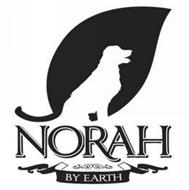 NORAH BY EARTH