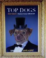 TOP DOGS PINOT VERDOT | MENDOCINO COUNTY, CALIFORNIA 2009 SAVOR A SIP...SAVE A LIFE!