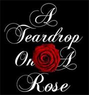 A TEARDROP ON A ROSE