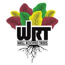 WELL ROOTED TREES