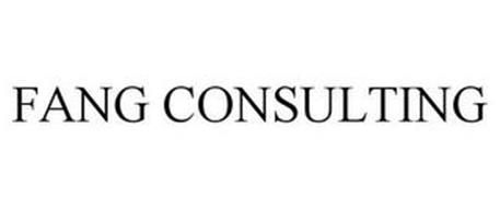 FANG CONSULTING