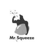 MR. SQUEEZE