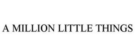 A MILLION LITTLE THINGS
