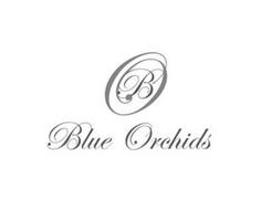 B BLUE ORCHIDS