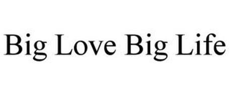BIG LOVE BIG LIFE