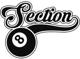 SECTION 8