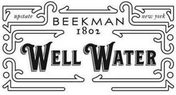 UPSTATE NEW YORK BEEKMAN 1802 WELL WATER