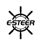 E-STEER