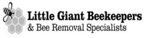 LITTLE GIANT BEEKEEPERS & BEE REMOVAL SPECIALISTS