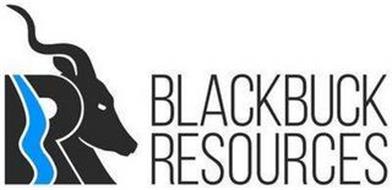 BLACKBUCK RESOURCES