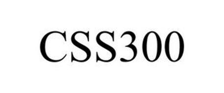 CSS300
