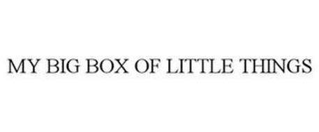 MY BIG BOX OF LITTLE THINGS