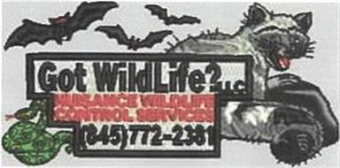 GOT WILDLIFE?LLC NUISANCE WILDLIFE CONTROL SERVICES (845)772-2381