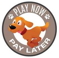 PLAY NOW PAY LATER