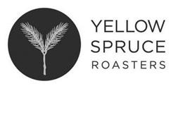 YELLOW SPRUCE ROASTERS