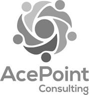 ACEPOINT CONSULTING
