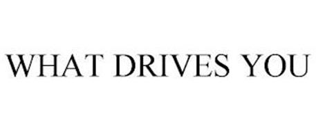 WHAT DRIVES YOU