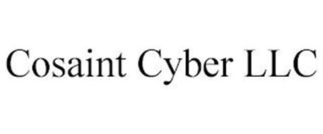 COSAINT CYBER LLC