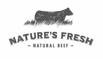 NATURE'S FRESH NATURAL BEEF