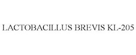 LACTOBACILLUS BREVIS KL-205