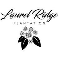 LAUREL RIDGE PLANTATION