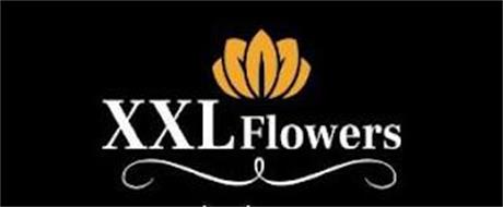 XXL FLOWERS