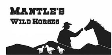 MANTLE'S WILD HORSES