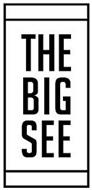THE BIG SEE