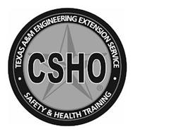 TEXAS A&M ENGINEERING EXTENSION SERVICECSHO SAFETY & HEALTH TRAINING