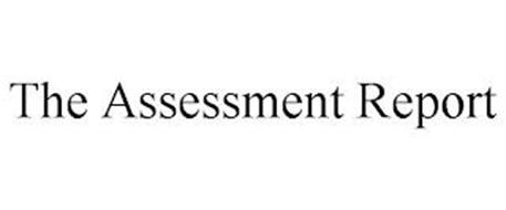 THE ASSESSMENT REPORT