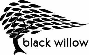 BLACK WILLOW