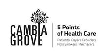 CAMBIA GROVE 5 POINTS OF HEALTH CARE PATIENT PAYERS PROVIDERS POLICYMAKERS PURCHASERS