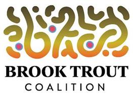 BROOK TROUT COALITION