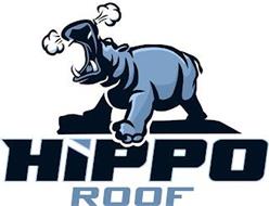HIPPO ROOF