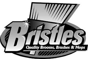 BRISTLES QUALITY BROOMS, BRUSHES & MOPS