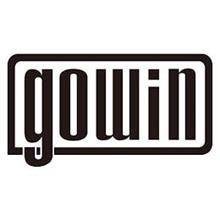 GOWIN