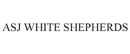 ASJ WHITE SHEPHERDS